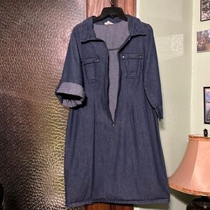 Denim Blue Knee Length dress
